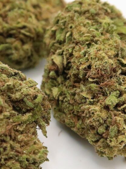 cbd cannabis flower bud